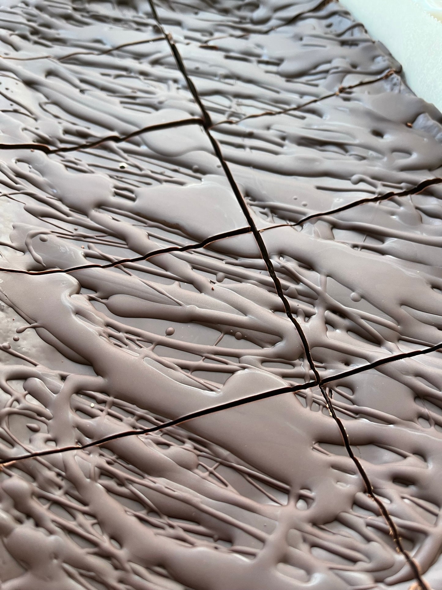 SALTED CARAMEL BROWNIES (free shipping)